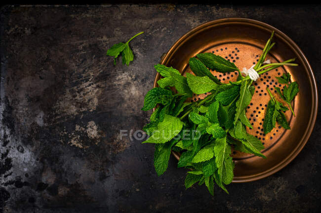 Fresh bunch of mint in a metal dish — Stock Photo