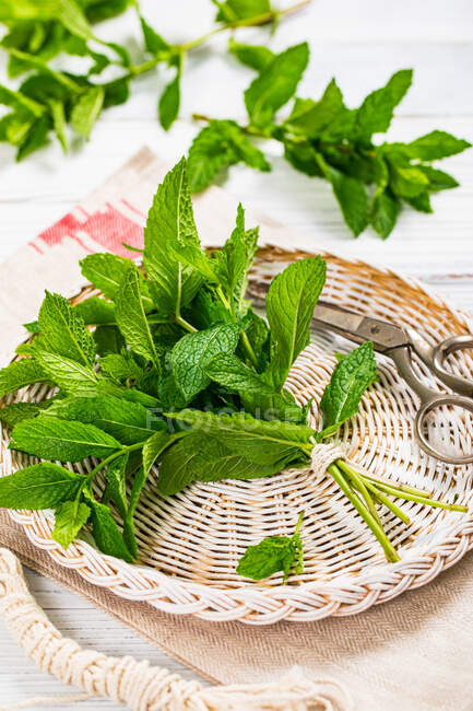 Bunch of fresh mint on a tray — Stock Photo