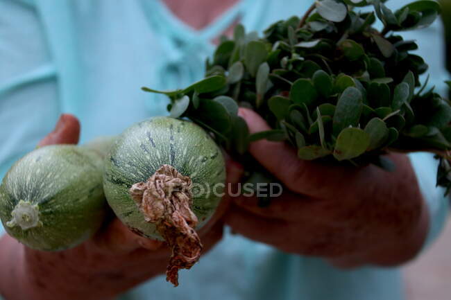 Mujer sosteniendo verduras recién recogidas, Grecia - foto de stock