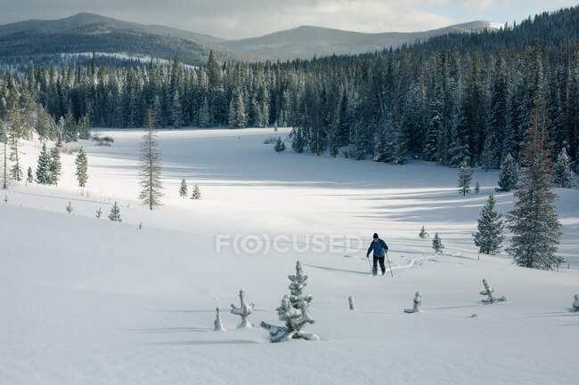 Hombre esquiando en el paisaje invernal, Wyoming, EE.UU. - foto de stock