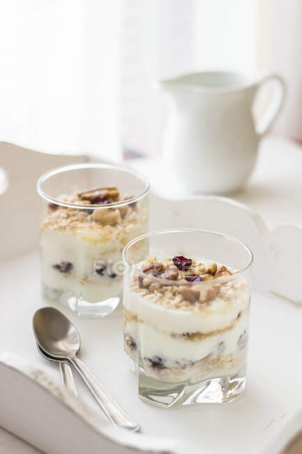 Homemade yogurt drizzled with honey, cranberries and walnuts — Stock Photo