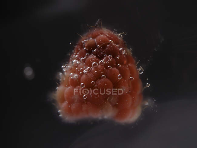 Close-Up de uma framboesa submersa na água — Fotografia de Stock