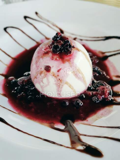 Blueberry panna cota dessert with blueberry sauce — Stock Photo