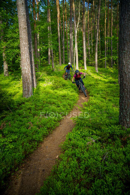 Man and woman mountain biking through the forest, Klagenfurt, Carinthia, Austria — Stock Photo
