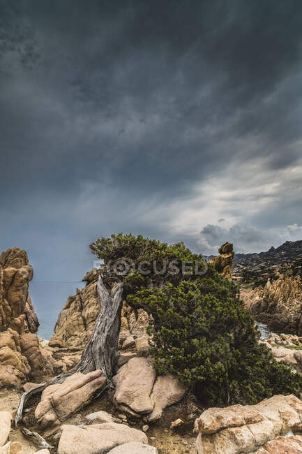 Ländliche Berglandschaft, Sardinien, Italien — Stockfoto