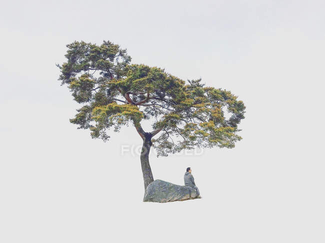 Homme assis sur un rocher sous un arbre, Corée du Sud — Photo de stock