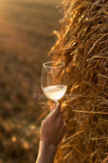 Woman standing in a field by a hay bale holding a glass of white wine at sunset, Belarus — Stock Photo