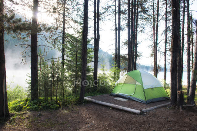Tent on a campsite by Lemolo Lake in morning mist, Umpqua National Forest, Oregon, USA — Stock Photo