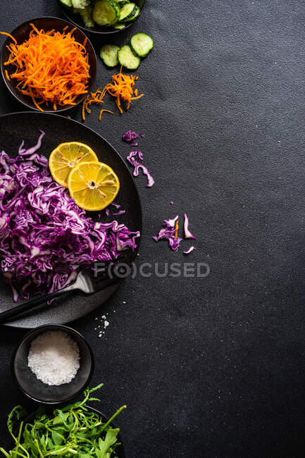 Col roja, cohete, zanahoria y pepino con sal y limón - foto de stock