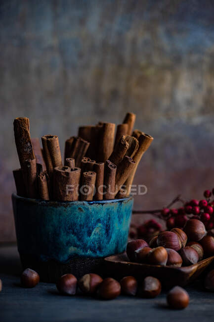 Keramiktasse gefüllt mit Zimtstangen und einem Gericht mit Haselnüssen — Stockfoto