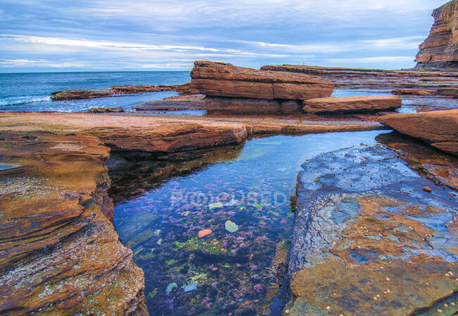 Costa rochosa e piscina de rock, The Skillion, Terrigal, Nova Gales do Sul, Austrália — Fotografia de Stock