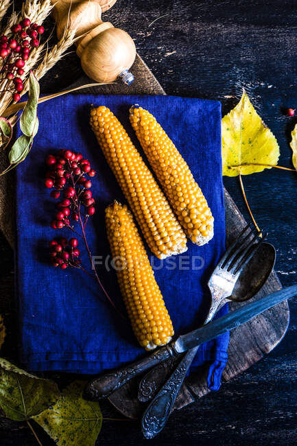 Thanksgiving et concept de récolte d'automne — Photo de stock