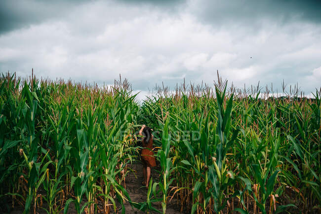 Girl running through a corn field, USA — Stock Photo