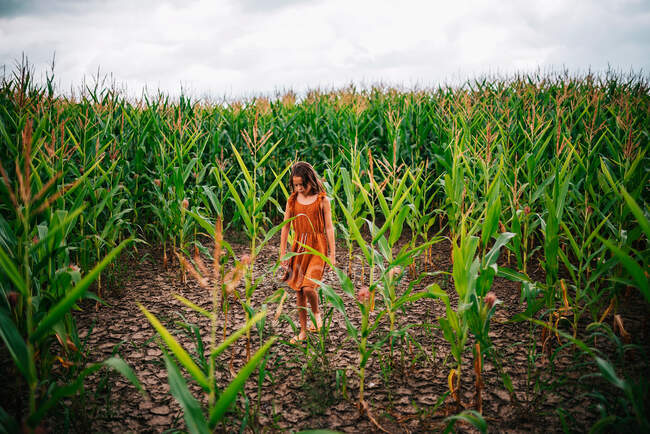 Girl walking through a corn field, USA — Stock Photo