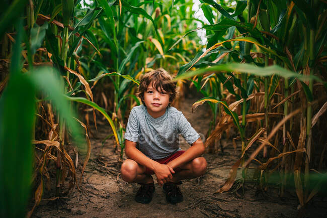 Porträt eines Jungen, der in einem Maisfeld hockt, USA — Stockfoto