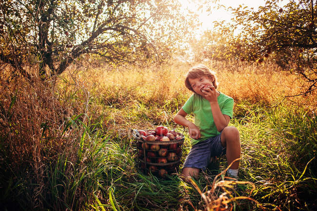 Menino sentado em um pomar comendo uma maçã, EUA — Fotografia de Stock