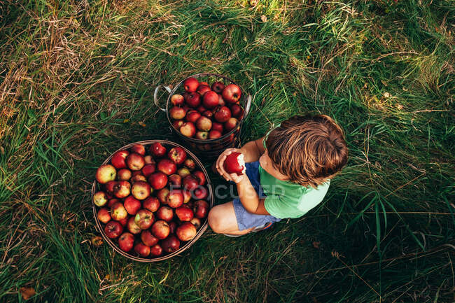 Visão aérea de um menino sentado em um pomar comendo uma maçã, EUA — Fotografia de Stock