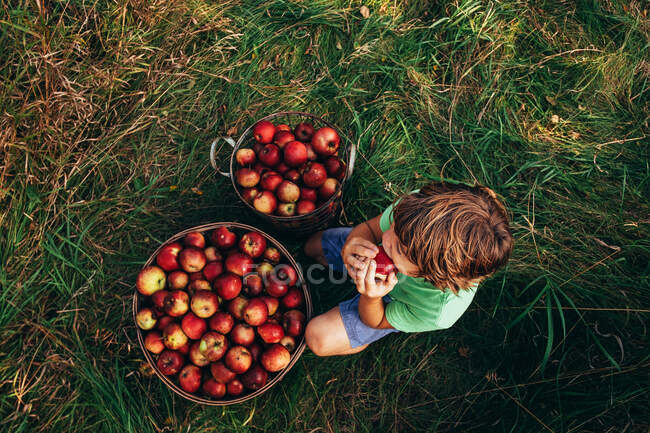 Overhead view of a Boy sitting in an orchard eating an apple, USA — Stock Photo