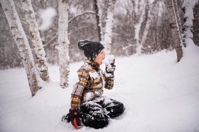 Menino sentado ao ar livre comendo neve, Wisconsin, EUA — Fotografia de Stock