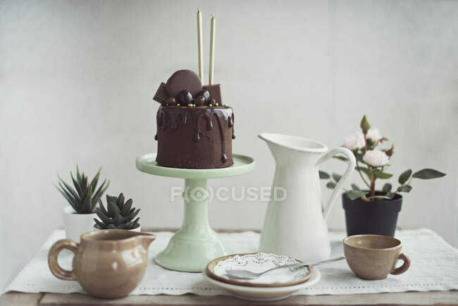 Шоколадный торт с золотыми свечами на торте рядом с сочными растениями и посудой — стоковое фото