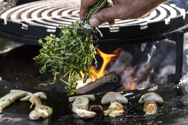 Homem fritando cogumelos frescos com tomilho — Fotografia de Stock