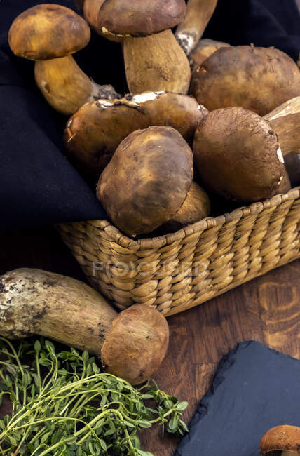 Крупный план свежесобранных грибов в корзине, Болгария — стоковое фото