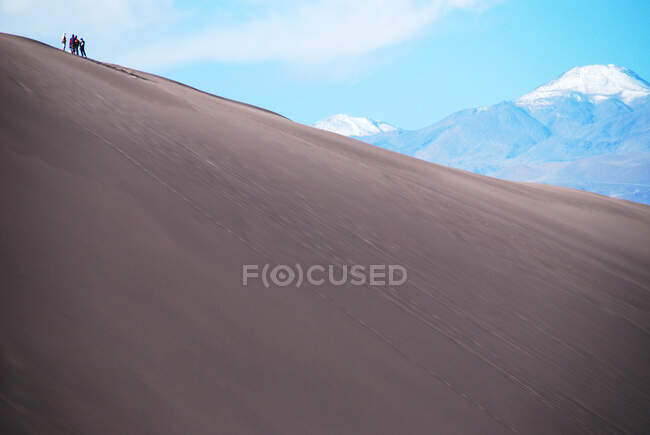 Four people standing at the top of a sand dune in the Atacama Desert near Arica, Chile — Stock Photo