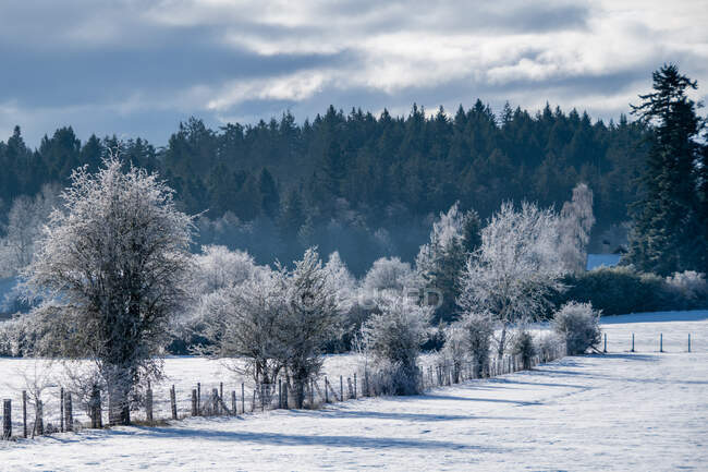 Snowy rural landscape, Vancouver Island, British Columbia, Canada — Stock Photo