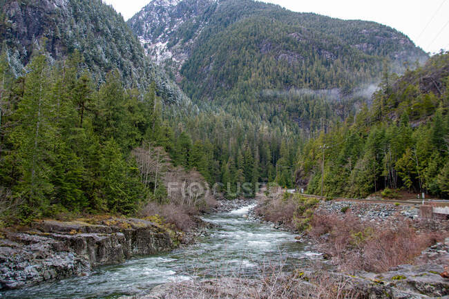 Rivière traversant un paysage rural, île de Vancouver, Colombie-Britannique, Canada — Photo de stock