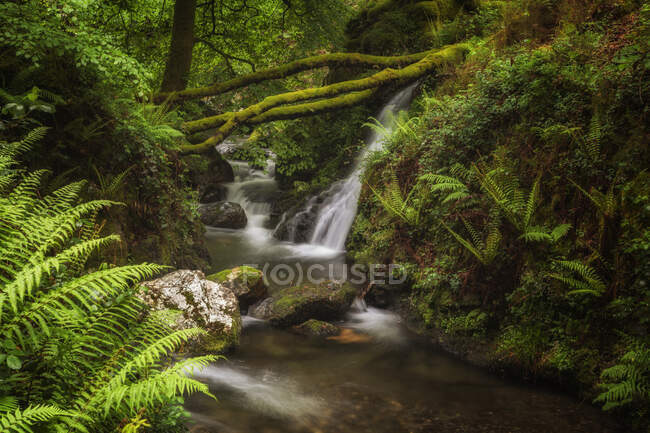 Kleiner Wasserfall und Fluss, der durch einen Wald fließt, Goizueta, Navarra, Spanien — Stockfoto