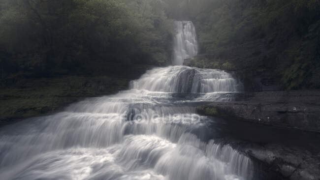 Rio de fluxo rápido e cachoeira em uma floresta exuberante, Nova Zelândia — Fotografia de Stock