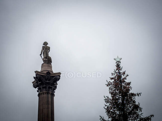 Coluna de Nelson ao lado de uma árvore de Natal, Londres, Inglaterra, Reino Unido — Fotografia de Stock