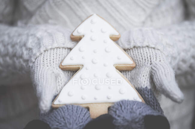 Menino usando luvas segurando um biscoito de árvore de Natal — Fotografia de Stock