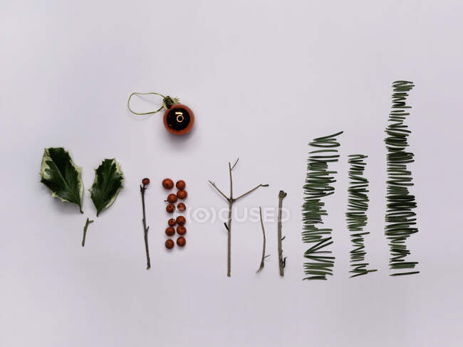 Deconstructed Christmas tree and holly — Stock Photo