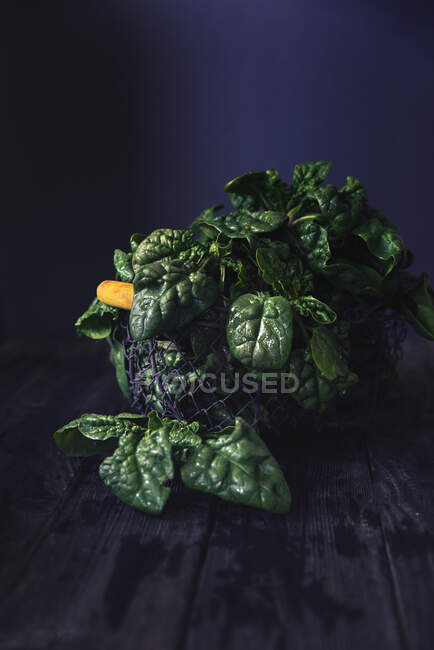 Metal basket filled with fresh spinach on a wooden table — Stock Photo