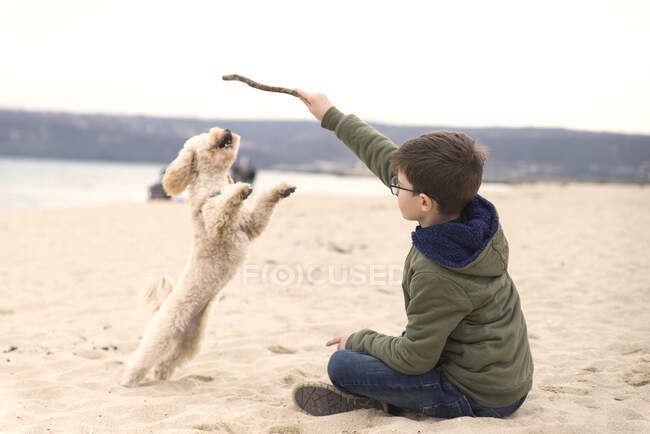 Хлопчик, який тримає палицю, граючи зі своїм собакою на пляжі (Болгарія). — стокове фото