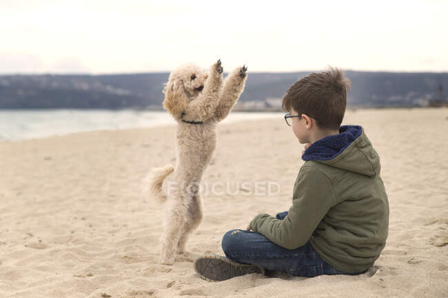 Хлопець, який грає зі своїм собакою на пляжі (Болгарія). — стокове фото
