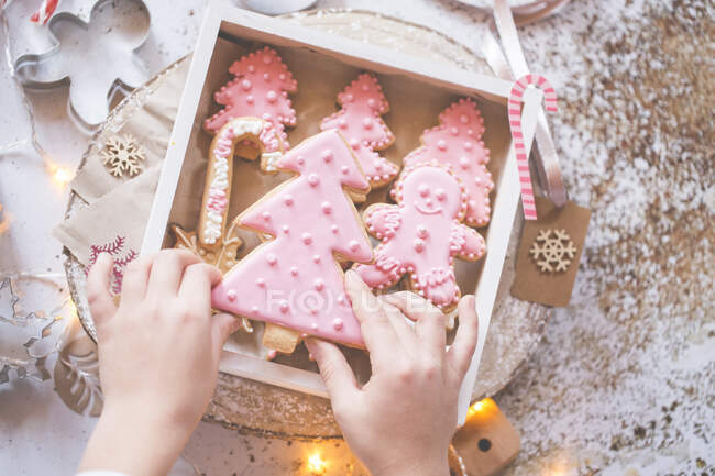 Menino empilhamento casa fez biscoitos de Natal em uma caixa de presente — Fotografia de Stock