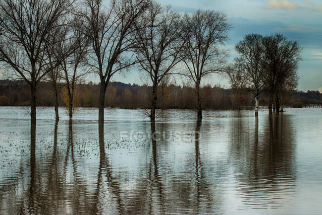 Rio inundado, Lobbi, Alessandria, Piemonte, Itália — Fotografia de Stock