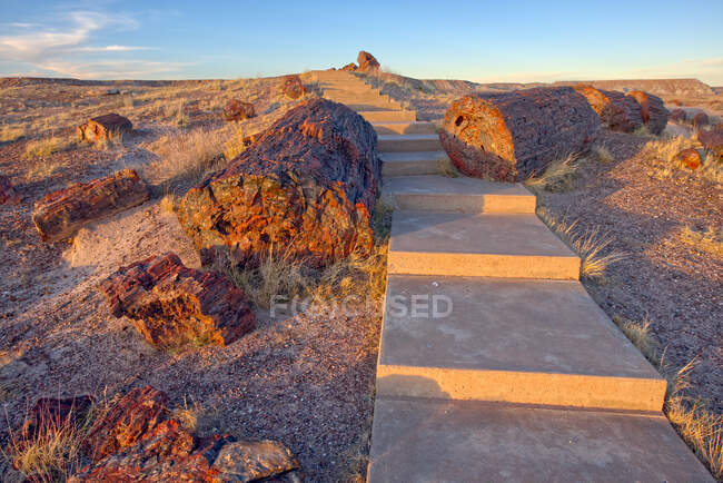 Petrified Wood along steps, Petrified Forest National Park, Arizona, EUA — Fotografia de Stock
