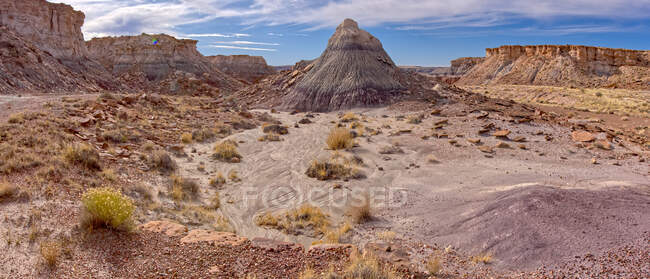 Überreste des Eagle 's Nest Rock, Petrified Forest National Park, Arizona, USA — Stockfoto