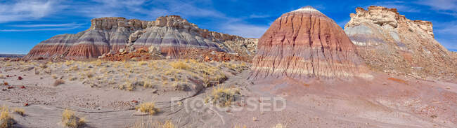 Falaises de grès, forêt de Jasper, parc national de la forêt pétrifiée, Arizona, USA — Photo de stock