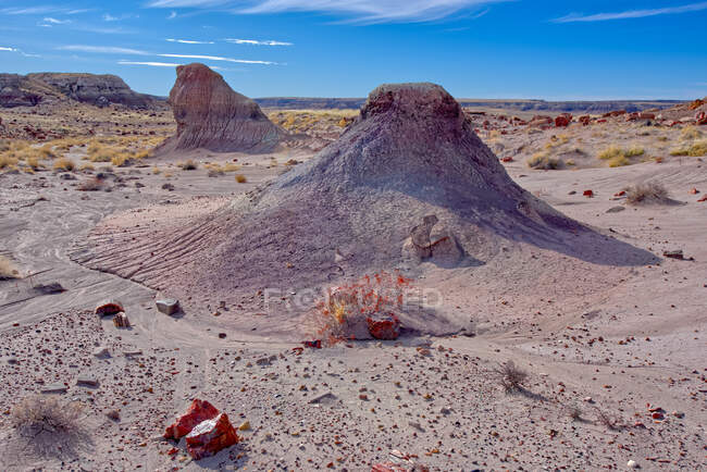 Clay mounds, Jasper Forest, Petrified Forest National Park, Arizona, USA — Stock Photo