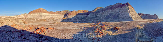 Parque Nacional Bosque Petrificado, Arizona, EE.UU. - foto de stock