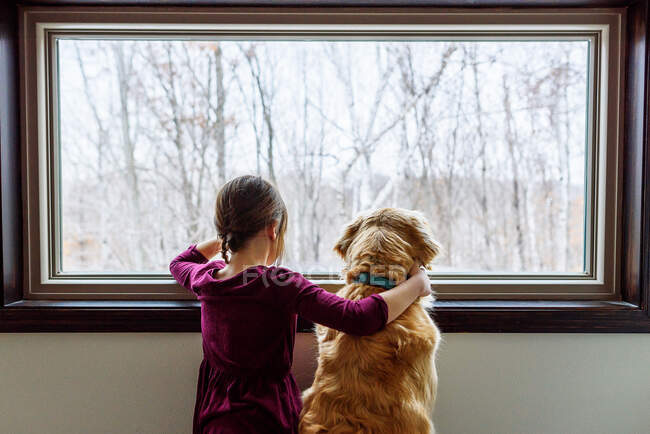 Дівчинка і золотий ретривер дивляться у вікно — стокове фото