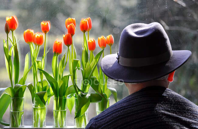 Vista trasera del hombre con un sombrero mirando jarrones llenos de tulipanes - foto de stock