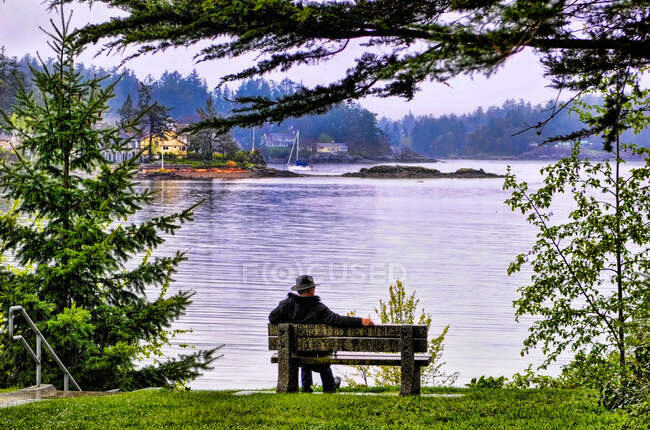 Вид сзади на человека, сидящего на скамейке запасных, Канада — стоковое фото
