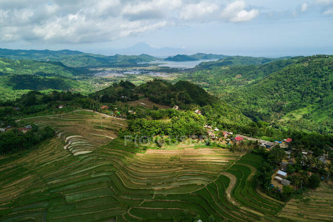 Вид с воздуха на рисовые поля, Маредже, Ломбок, Западная Нуса Тенггара, Индонезия — стоковое фото