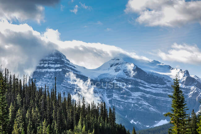 Forest and mountain landscape, Rocky mountains, Canada — Stock Photo