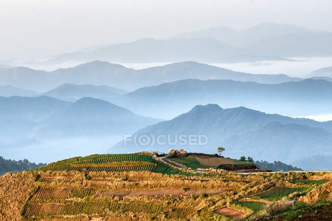 Paisagem montanhosa, Benguet, Cordillera, Luzon, Filipinas — Fotografia de Stock